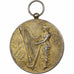 Francia, medalla, Allégorie de la Musique, Gold plated silver, Rasumny, MBC