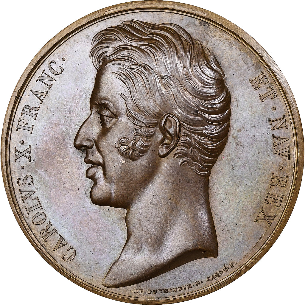 France, Medal, Charles X, Pont duc de Bordeaux, Saumur, 1825, Bronze