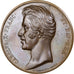 France, Medal, Charles X, Pont duc de Bordeaux, Saumur, 1825, Bronze