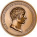 Francia, medalla, Napoléon-Louis roi de Hollande, 1967, Bronce, George