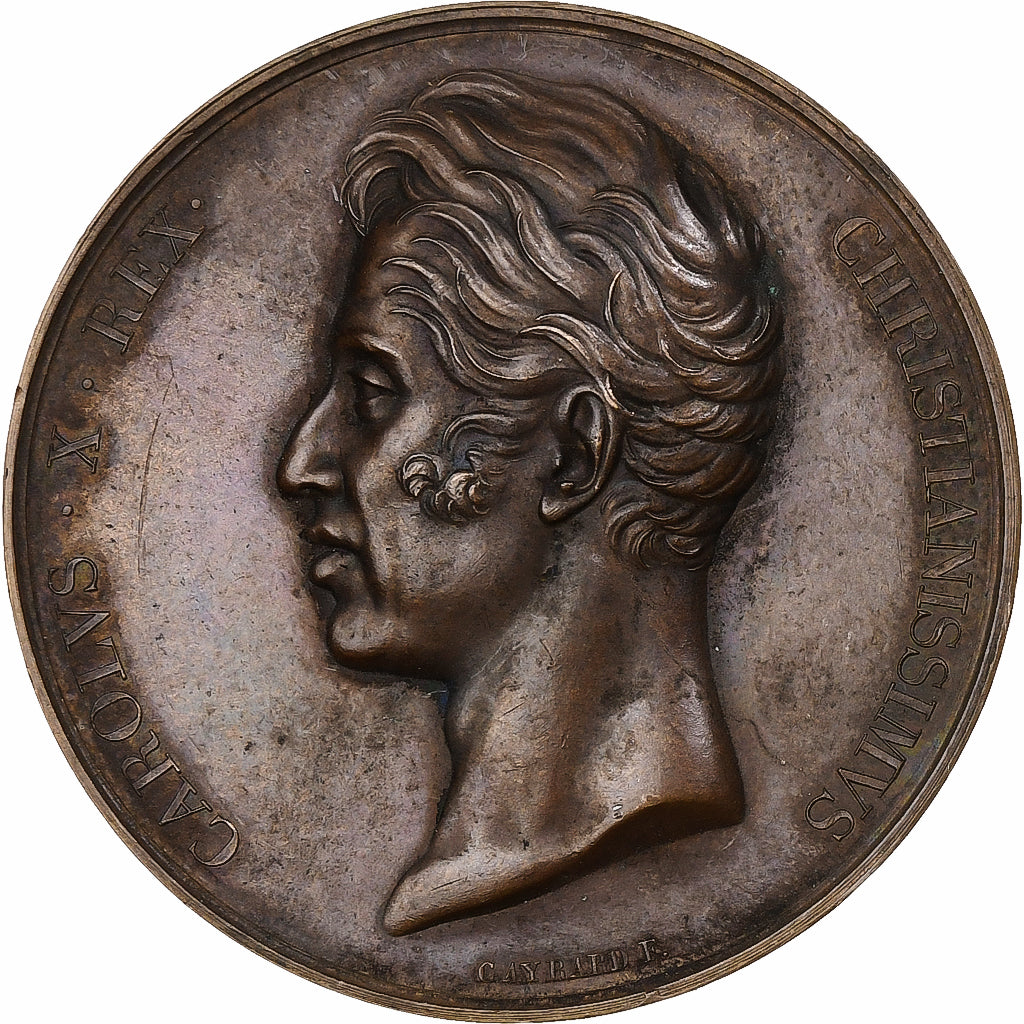 France, Médaille, Charles X, Monument à la mémoire de Louis XVI, 1826