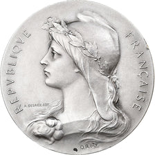France, Medal, Préfet de la Seine-Inférieure, Silver, Roty, MS(60-62)