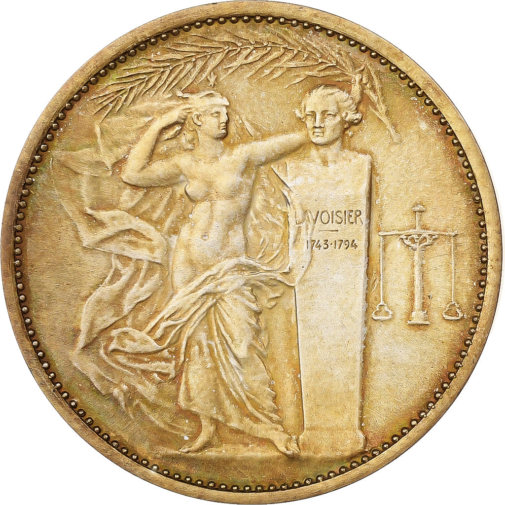 Francia, medaglia, Union des Industries Chimiques, 1983, Bronzo argentato, SPL-