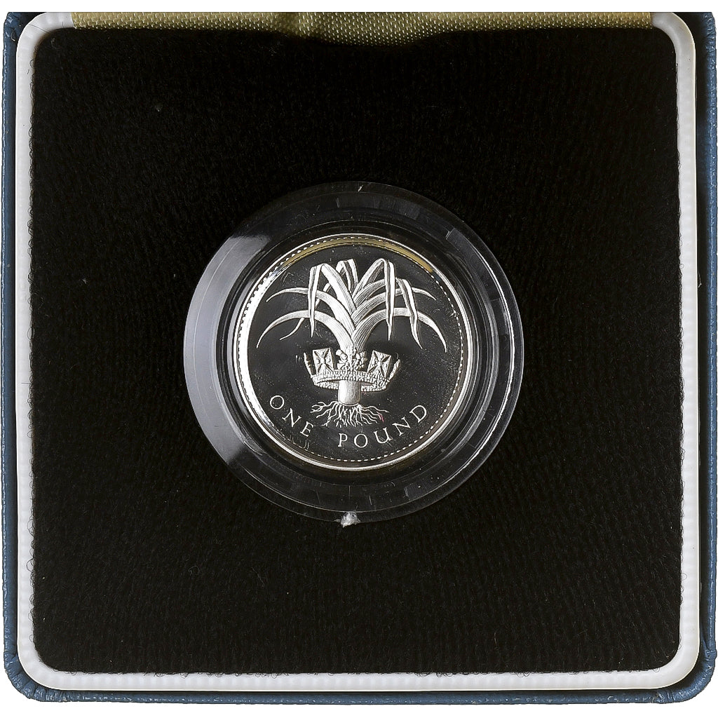 United Kingdom, Elizabeth II, Pound, 1985, Llantrisant, Proof, Silver