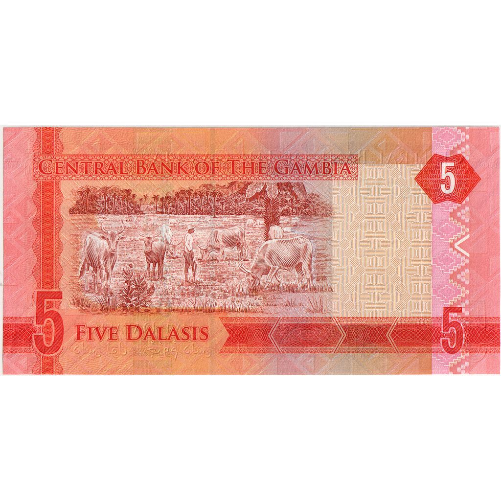 Biljet, Gambia, 5 Dalasis, UNDATED (2015), NIEUW