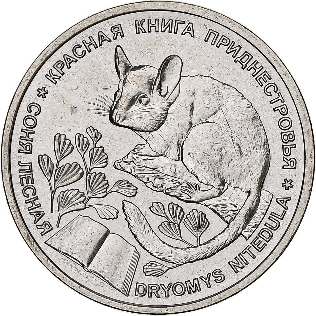 Transnístria, Rouble, 2023, Lérotin commun, Aço Niquelado, MS(63)