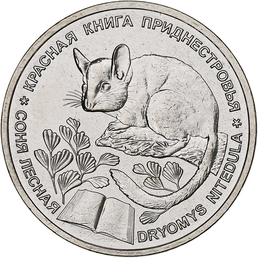 Transnistria, Rouble, 2023, Lérotin commun, Nickel platerowany stalą, MS(63)