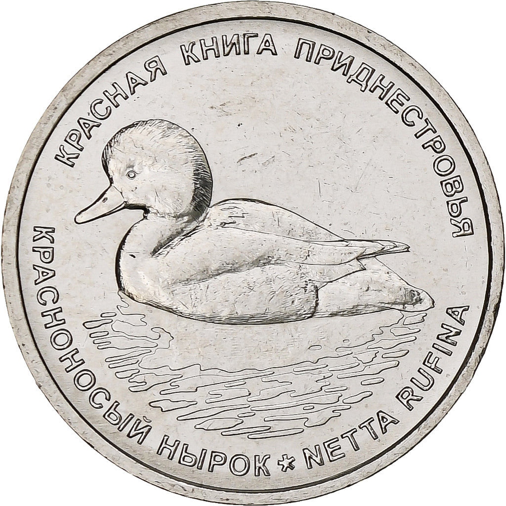 Transnistria, Rouble, 2023, Canard - Nette rousse, Nickel platerowany stalą
