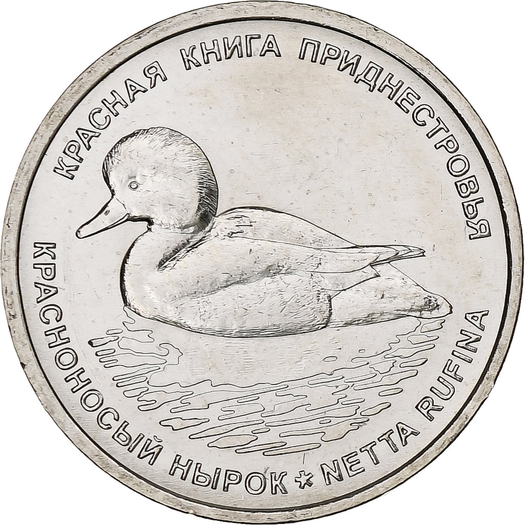 Transnístria, Rouble, 2023, Canard - Nette rousse, Aço Niquelado, MS(63)