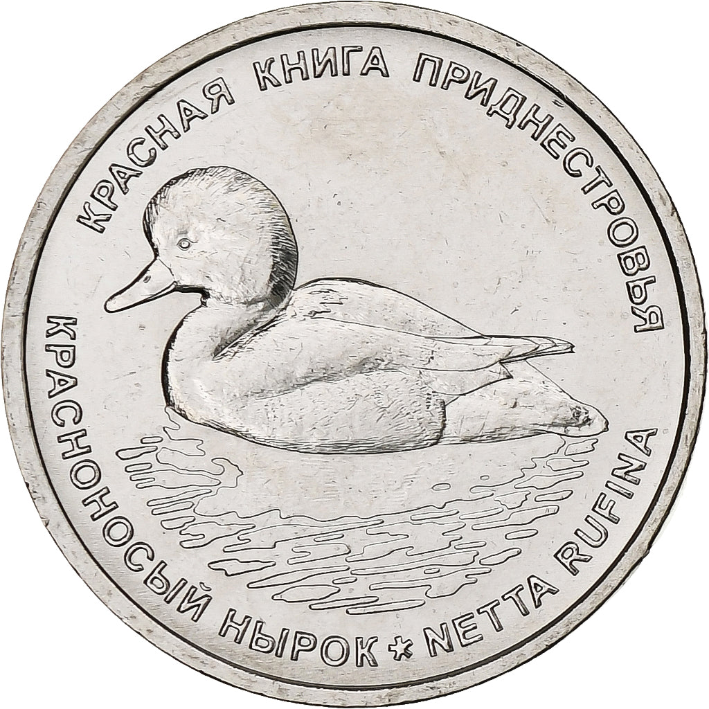 Transnistria, Rouble, 2023, Canard - Nette rousse, Nickel plated steel, MS(63)