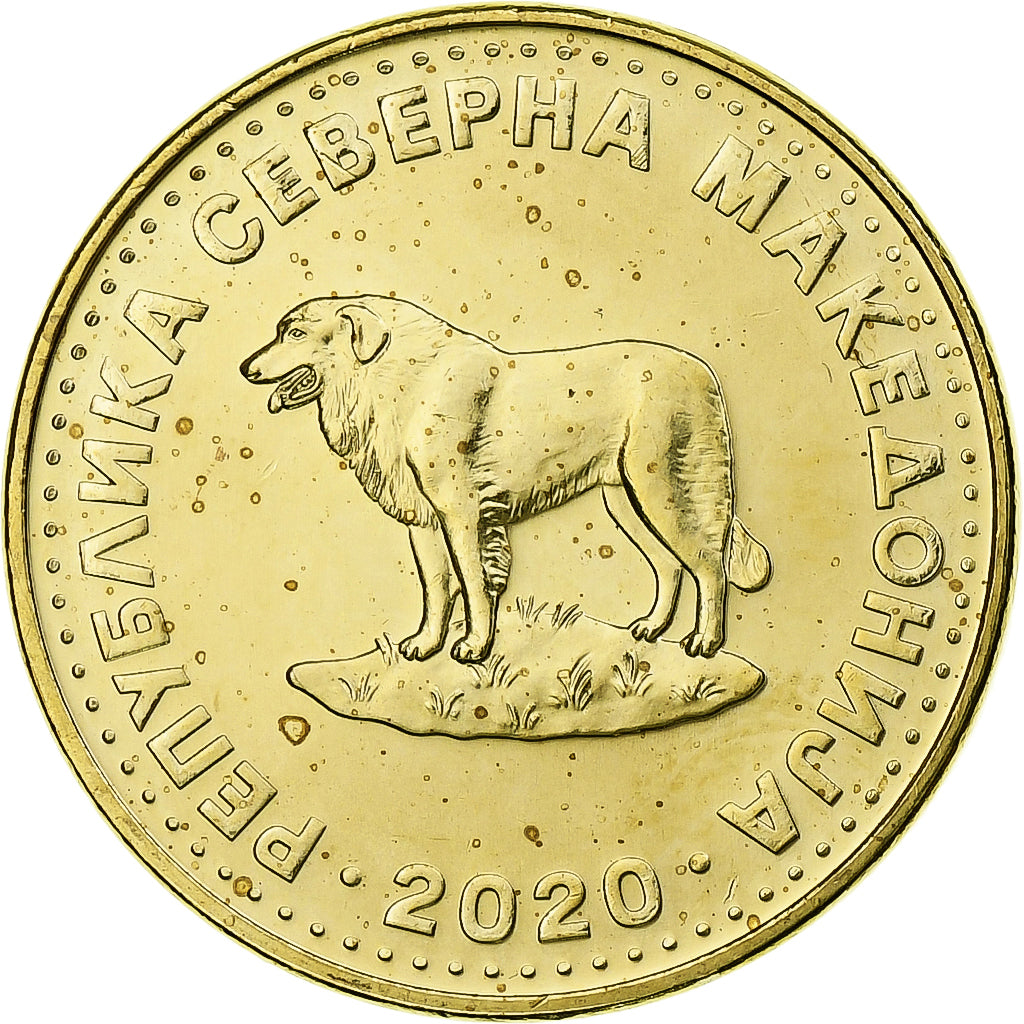 Macedonia, Denar, 2020, Latón, EBC+