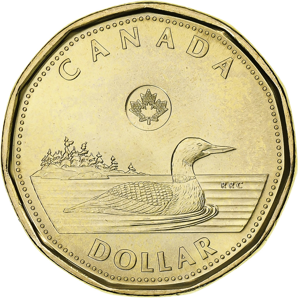 Canada, Dollar, Black-throated loon, 2023, Royal Canadian Mint, Mosiądz