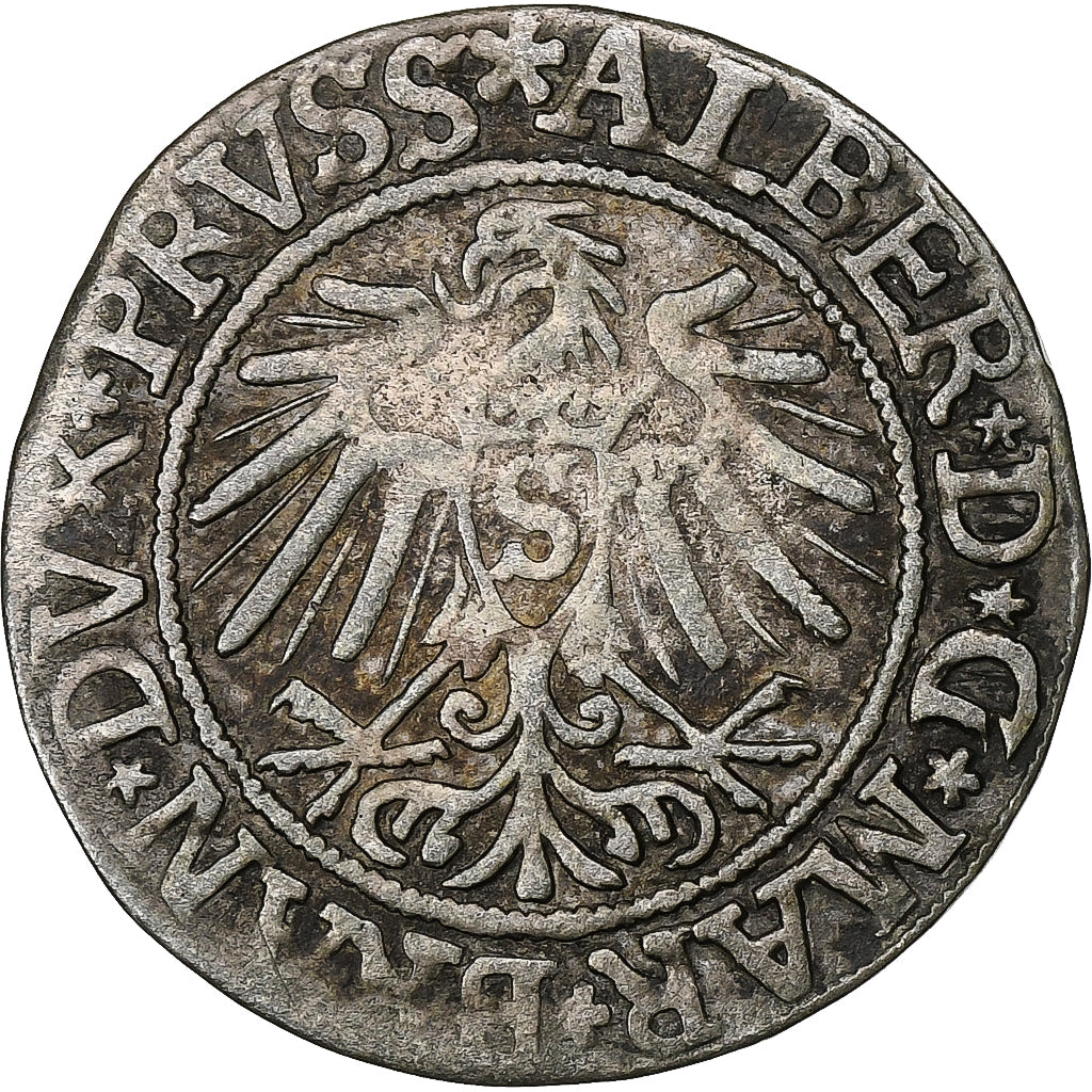 Prussia, Albrecht, 1 Groschen, 1537, Silver, VF(30-35)