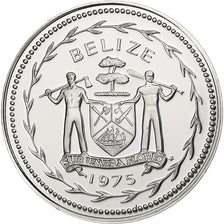 Belice, 5 Cents, 1975, Franklin Mint, Prueba, Plata, FDC, KM:47a