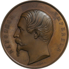 France, Medal, Napoleon III, Exposition de Limoges, 1858, Copper, Caqué