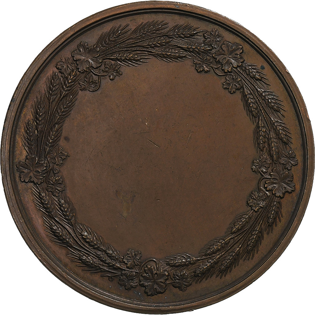 France, Medal, François Rozier, 19th Century, Copper, AU(55-58)