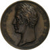 Francja, medal, Karol X, Visite de Troyes, 1828, Brązowy, Depaulis/Depuymaurin