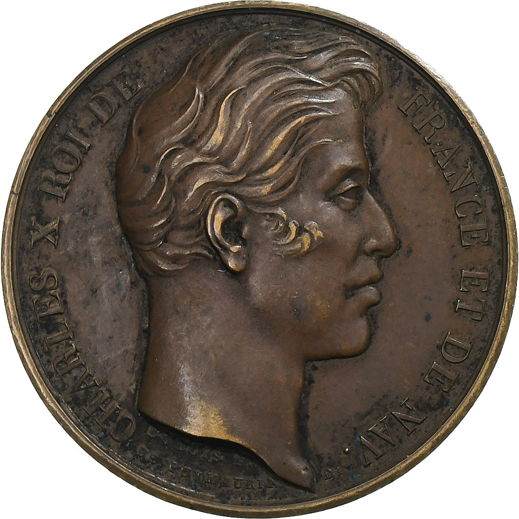 France, Medal, Charles X, XIXth Century, Bronze, Dubois, EF(40-45)
