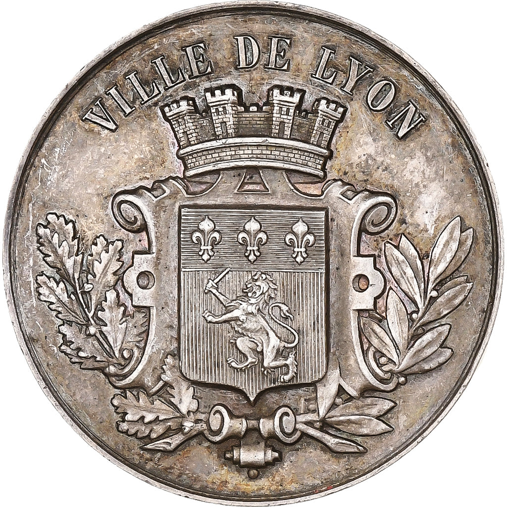 Frankrijk, Medaille, Société lyonnaise des Beaux Arts, 1889, Zilver, ZF+