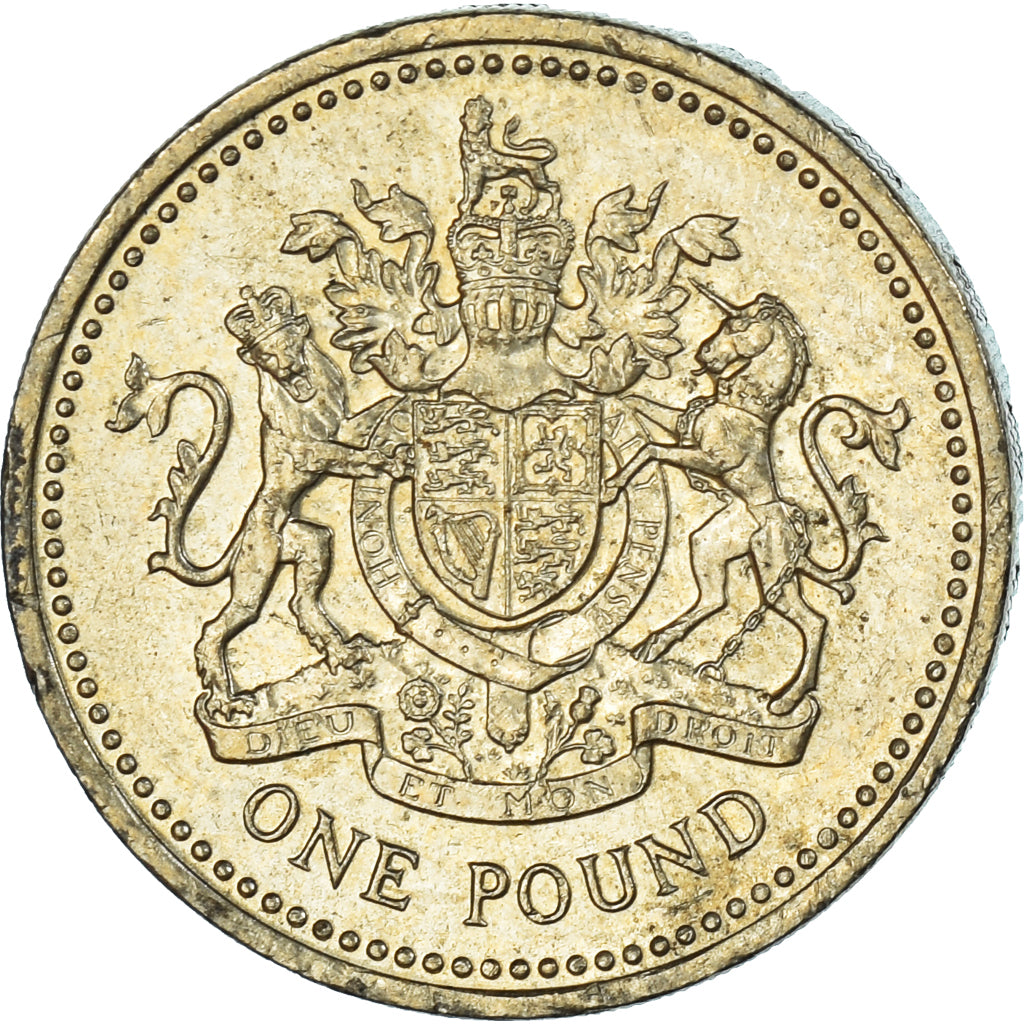 Coin, Great Britain, Pound, 2003