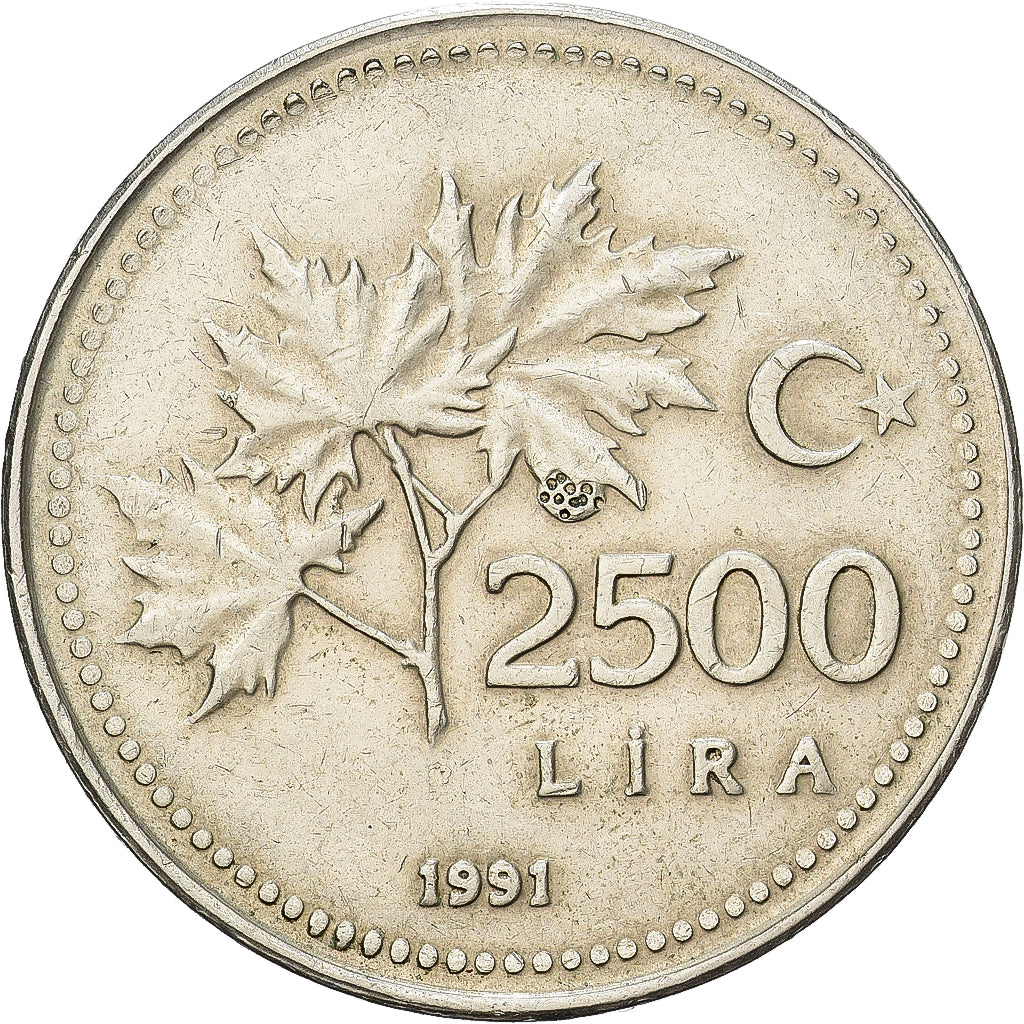 Coin, Turkey, 2500 Lira, 1991, EF(40-45), Nickel-Bronze, KM:1015