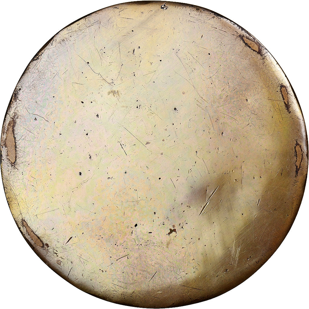 France, Tape de Bouche, RICM, 1916, Bronze, SUP