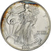USA, Dollar, Silver Eagle, 2003, Philadelphia, Srebro, MS(63)