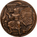 França, medalha, Département de la Vienne, 1973, MDP, Bronze, AU(55-58)