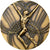 Frankrijk, Medaille, Châteauroux, Bronze Florentin, Pichard, PR