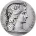 França, medalha, Ville de Bordeaux, MDP, Prata, Daniel-Dupuis, H. Dubois