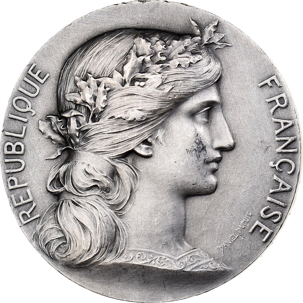 France, Medal, Ville de Bordeaux, MDP, Silver, Daniel-Dupuis, H. Dubois