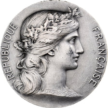 France, Medal, Ville de Bordeaux, MDP, Silver, Daniel-Dupuis, H. Dubois