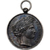 France, Médaille, Expositions - Pigeons, Lille, 1881, Argent, TTB+