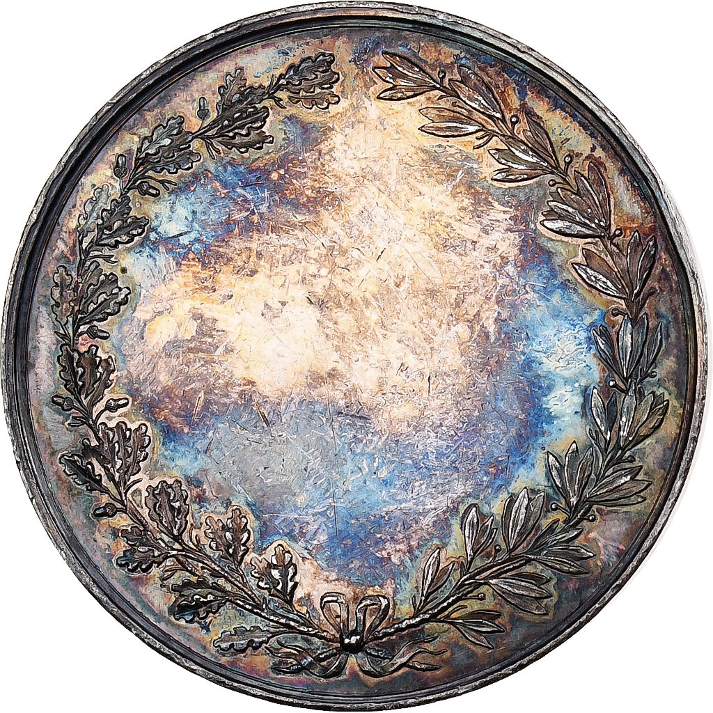 Francia, medaglia, Ville de Lille, Argento, Lecomte, BB+