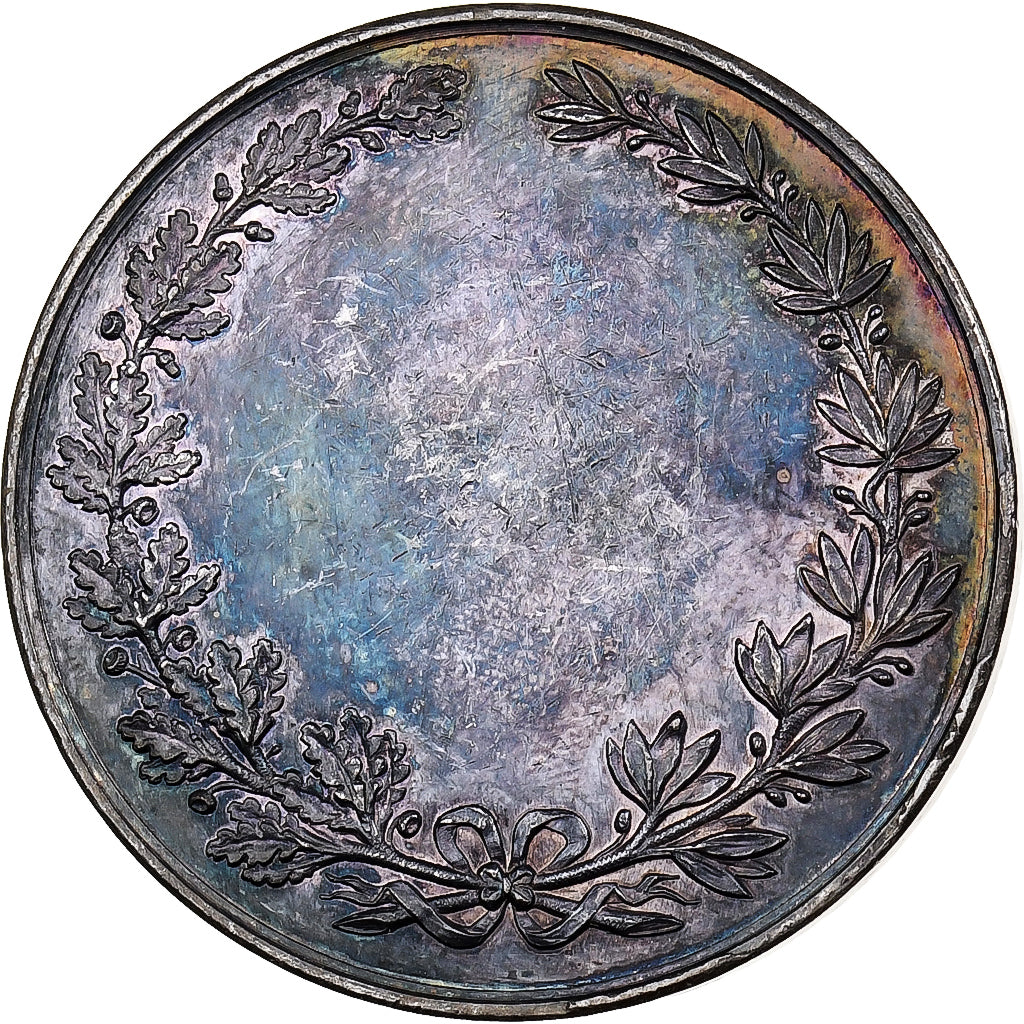 Francja, medal, Ville de Lille, MDP, Srebro, AU(50-53)