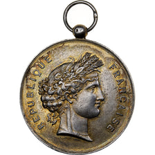 Frankrijk, Medaille, Grand Concours Musical de Vanves (Seine), 1885, Zilver, ZF+