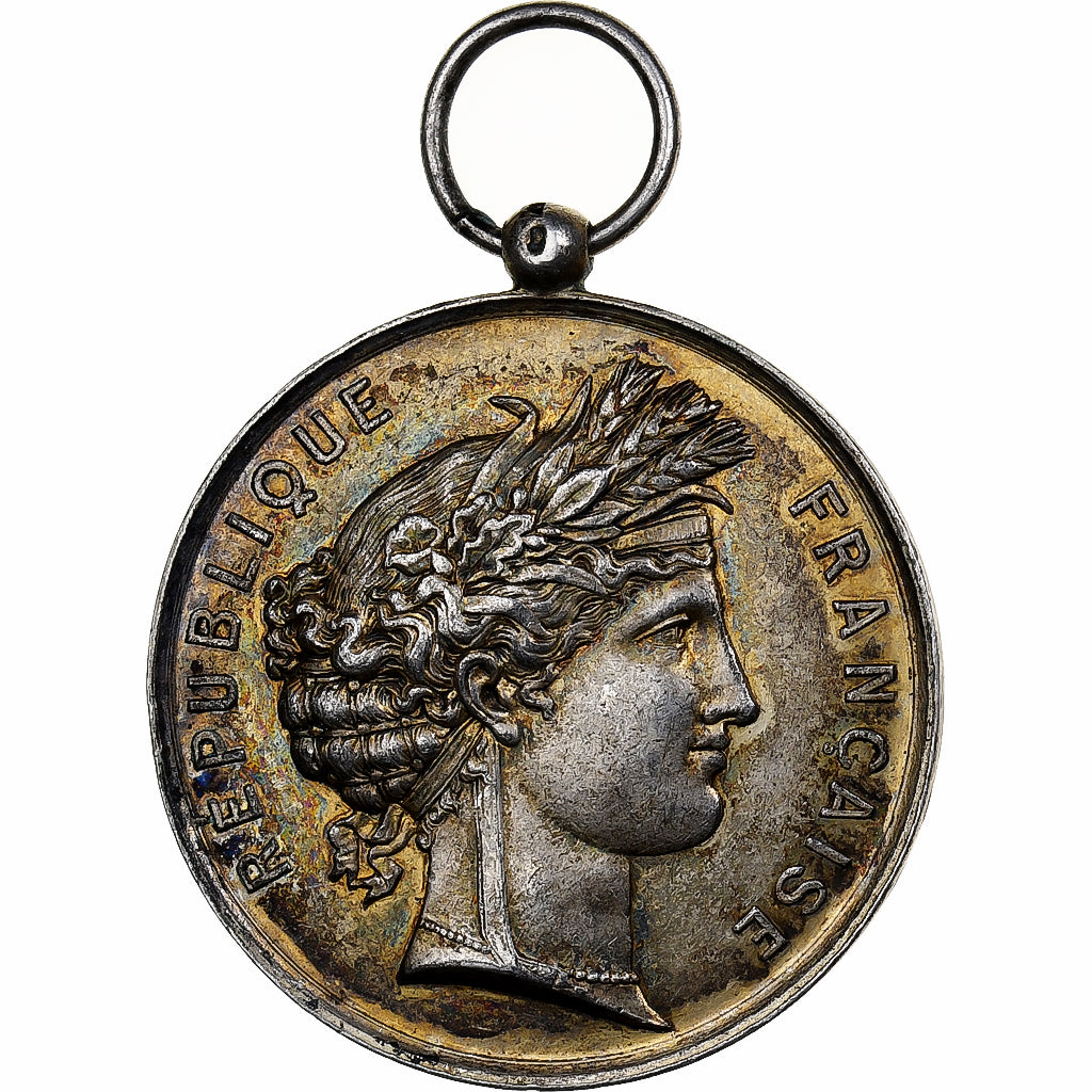 Francia, medaglia, Grand Concours Musical de Vanves (Seine), 1885, Bronzo, BB+