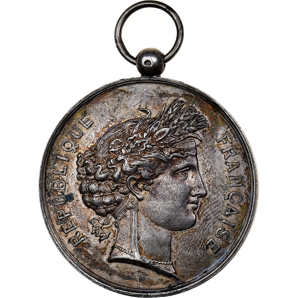 Francia, medaglia, Grand Concours Musical de Vanves (Seine), 1885, Argento, BB+