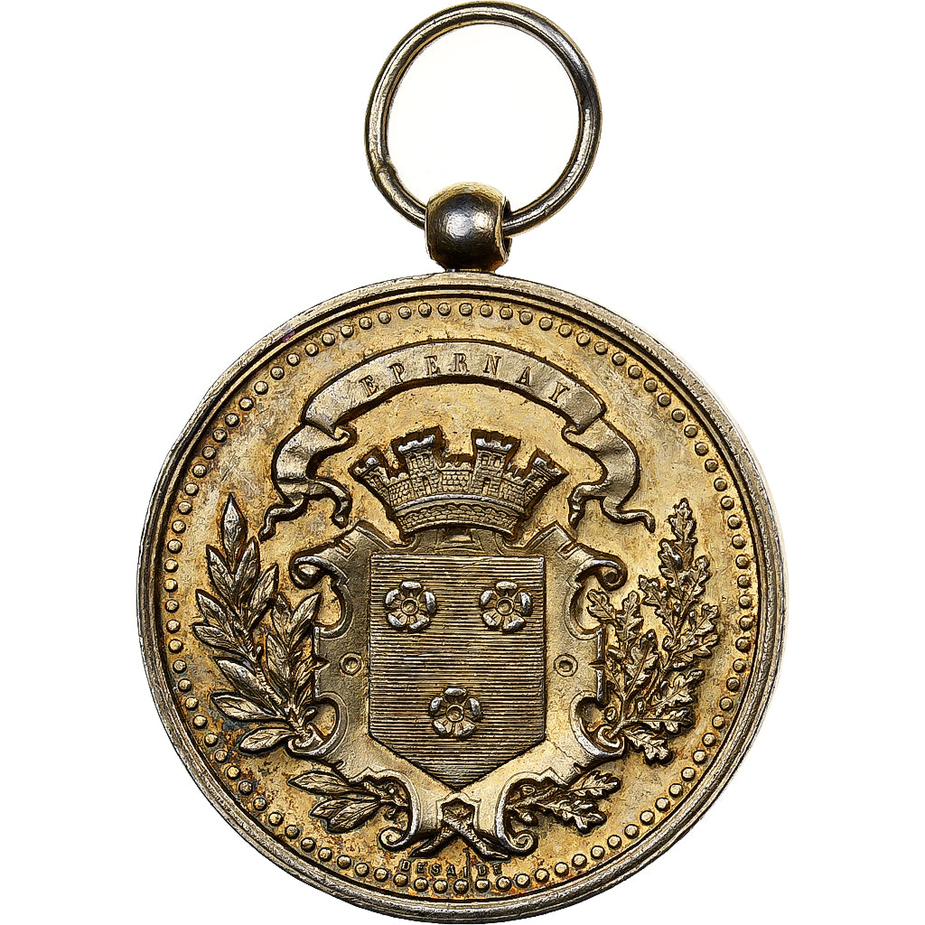 Francia, medaglia, Société d'Horticulture de la Ville d'Epernay, 1879