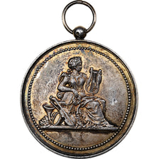Francia, medaglia, Concours musical de Dormans, 1894, Argento, BB