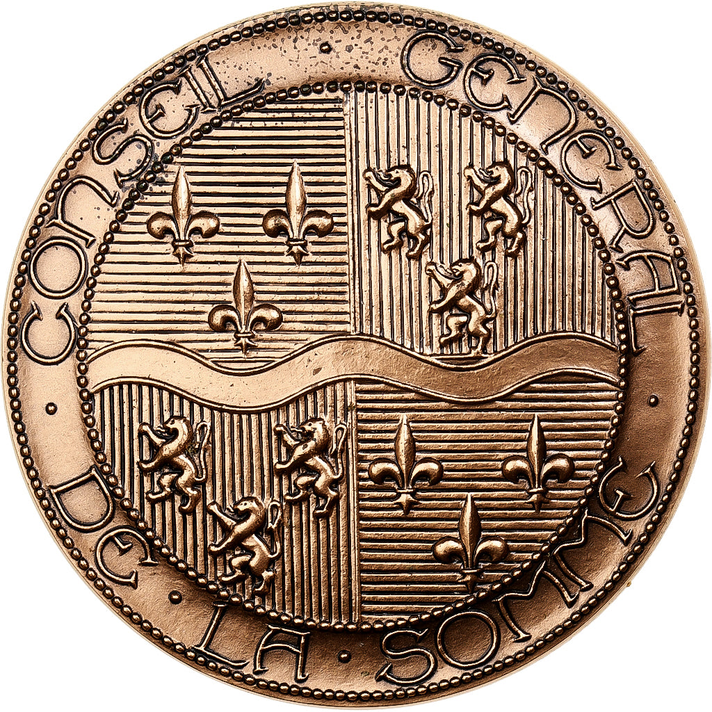 Francia, medaglia, Conseil général de la Somme, Bronzo, Coeffin, SPL-
