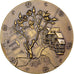 France, Médaille, Ville de Lisieux, Bronze, SUP
