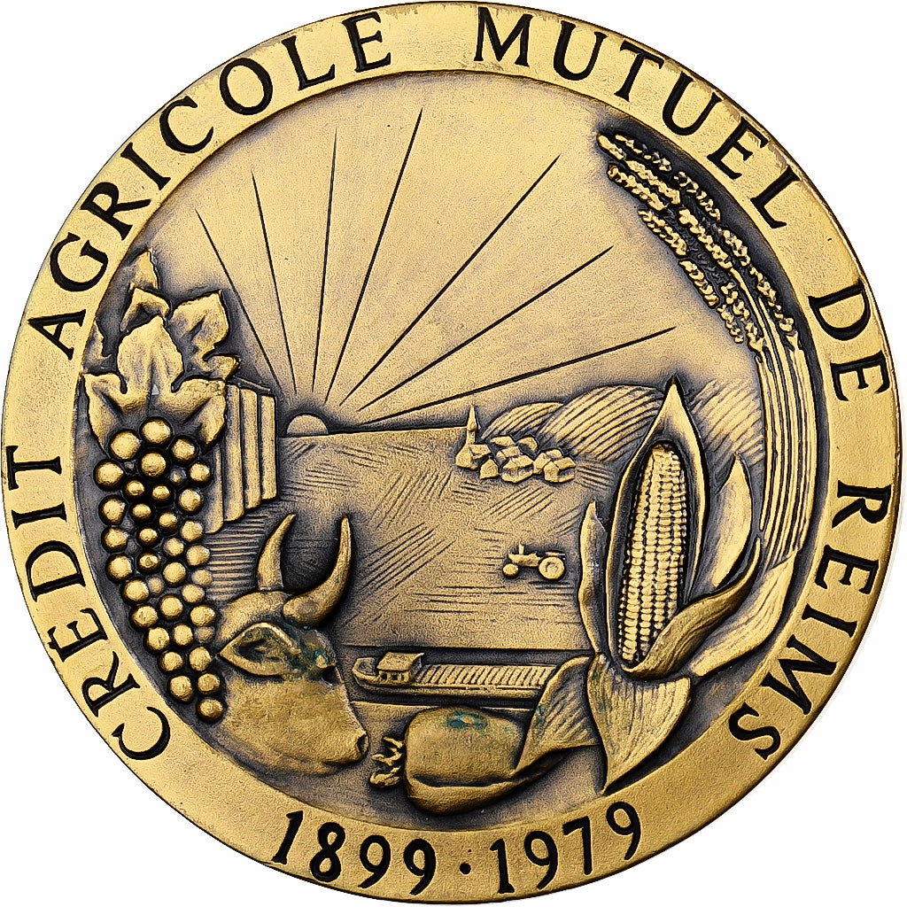 Francia, medaglia, Crédit Agricole Mutuel de Reims, 1979, Bronzo, Pichard, SPL-