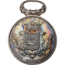 Frankreich, Medaille, Luttes colombophiles, Fédération lilloise, Silber, SS+