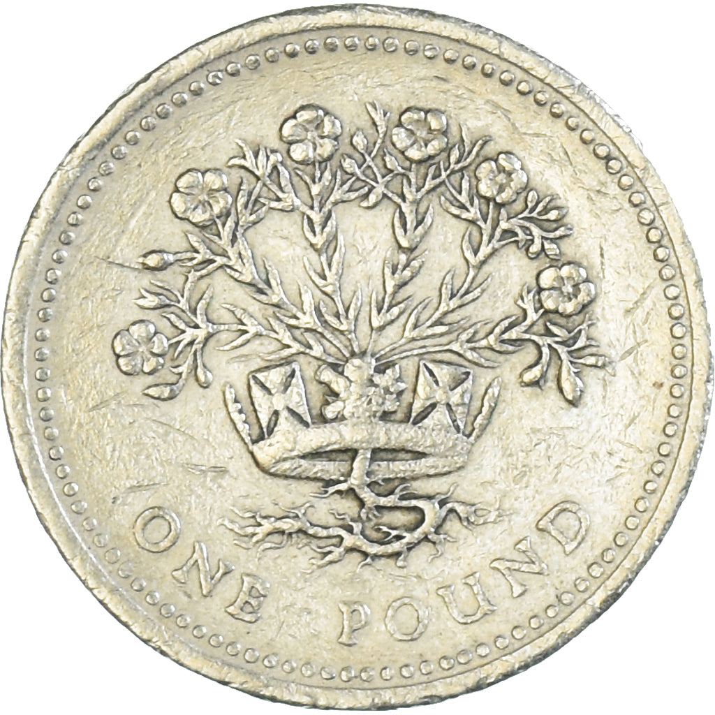 Coin, Great Britain, Pound, 1991