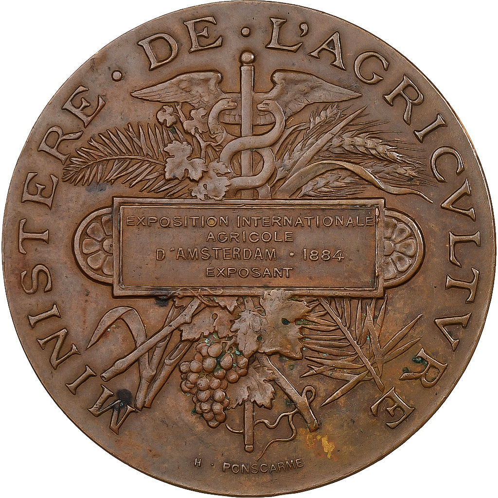 Francia, medaglia, Ministère de l'Agriculture, 1884, Bronzo, Ponscarme, BB