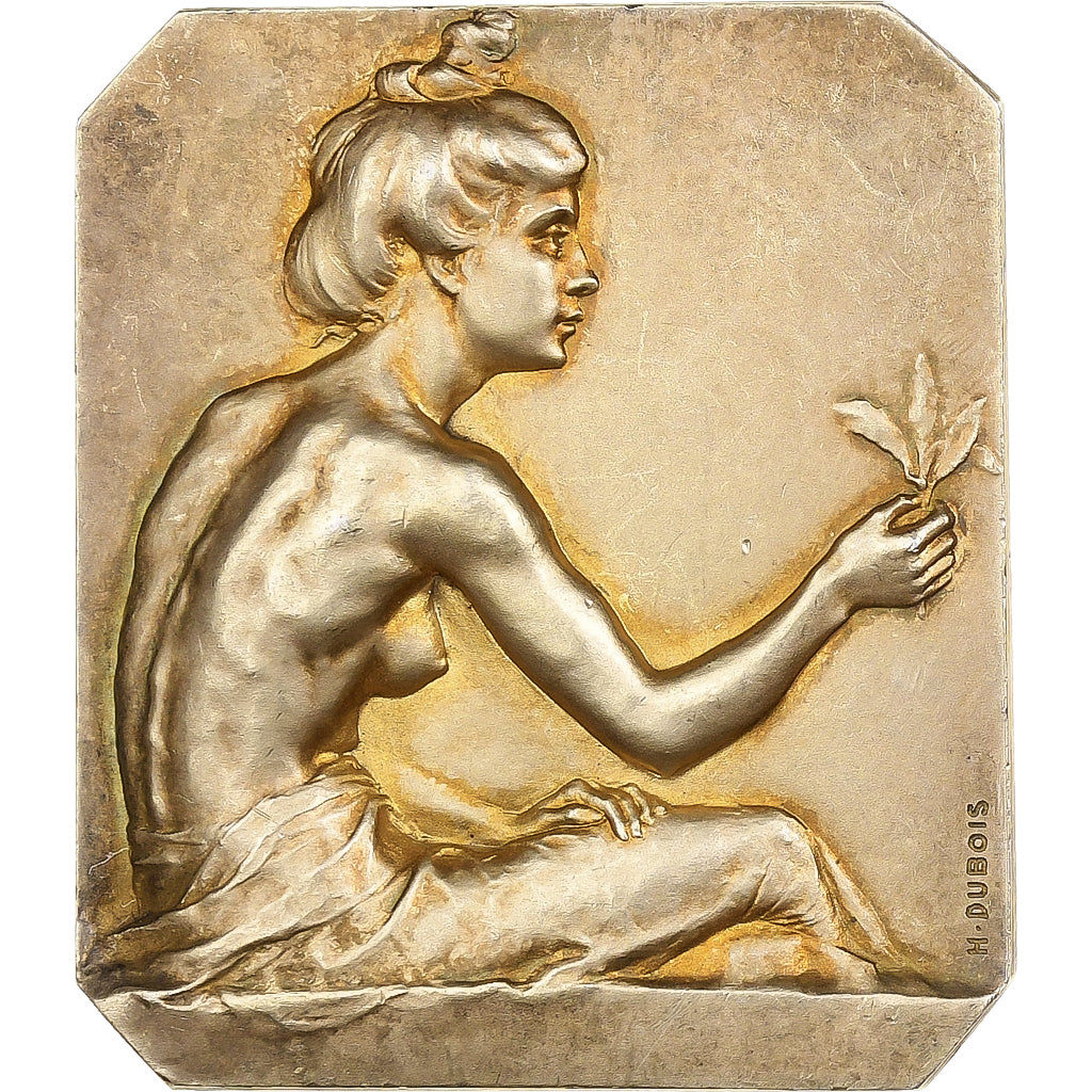 France, Medal, Raillencourt à M. Sergent, Silver, Dubois, AU(50-53)