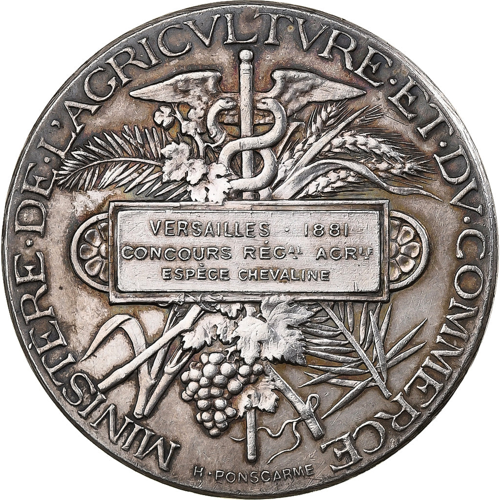 France, Médaille, Ministère de l'agriculture et du Commerce, 1881, Argent