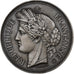 France, Medal, Préfet de la Seine-Inférieure, MDP, Silvered bronze, Oudiné