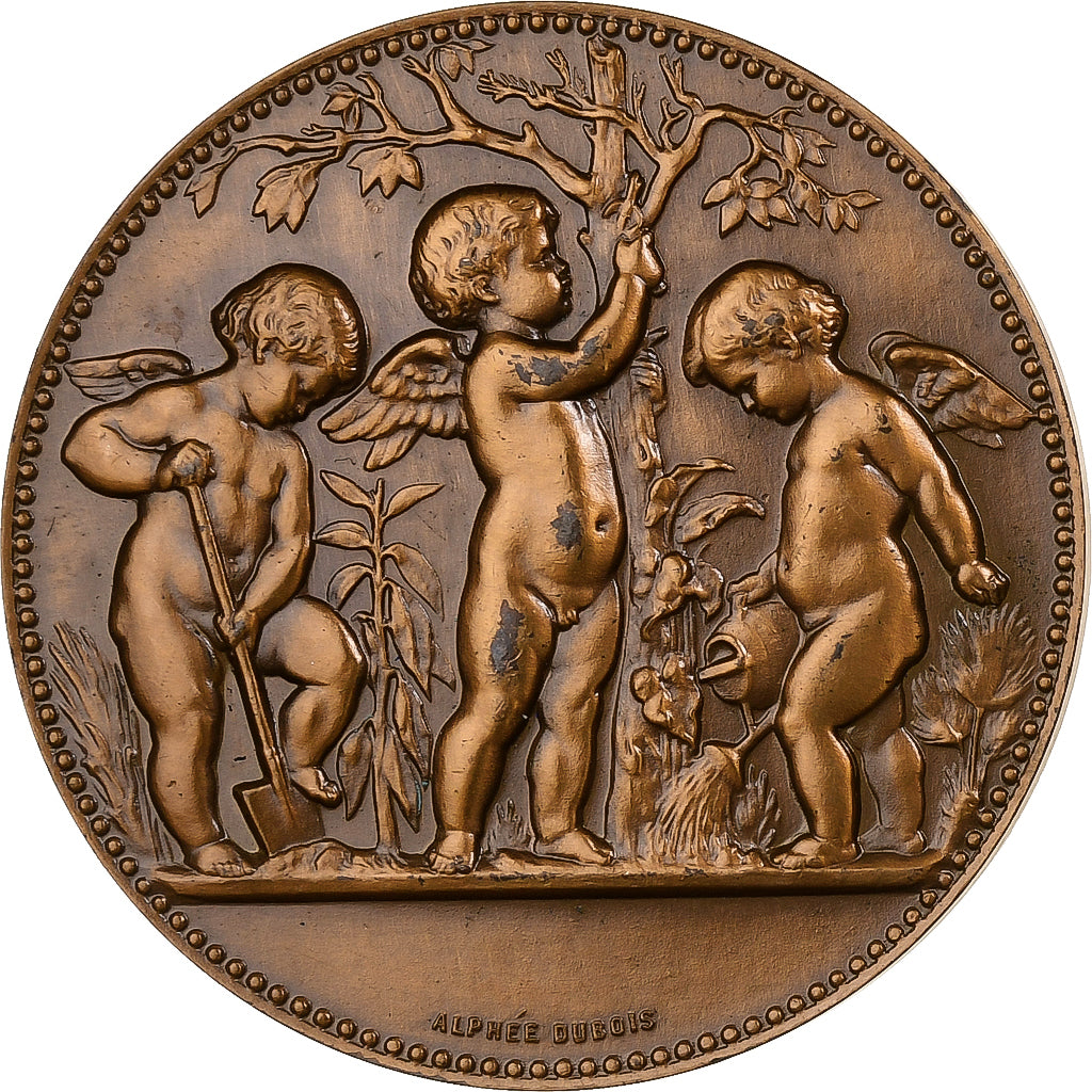 France, Medal, 1972, Bronze, Alphée Dubois, AU(55-58)
